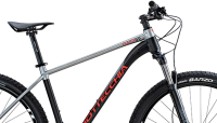 Bicicletta Bottecchia MTB Gavia 87V Grigio 29\" Sram SX 12S 2025