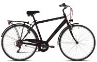 Bicicletta Torpado T480 Albatros Man 6V 2022