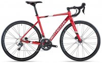 Bicicletta Bottecchia Corsa Duello 53J Tiagra Mix 20S Disk 2025