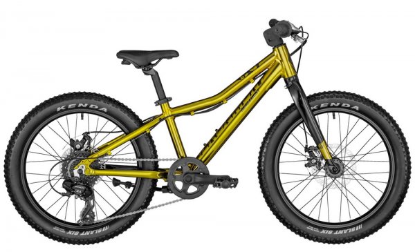 Bicicletta Bergamont BERGAMONSTER 20 PLUS BOY Disk 2022