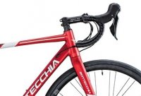 Bicicletta Bottecchia Corsa Duello 53J Tiagra Mix 20S Disk 2025