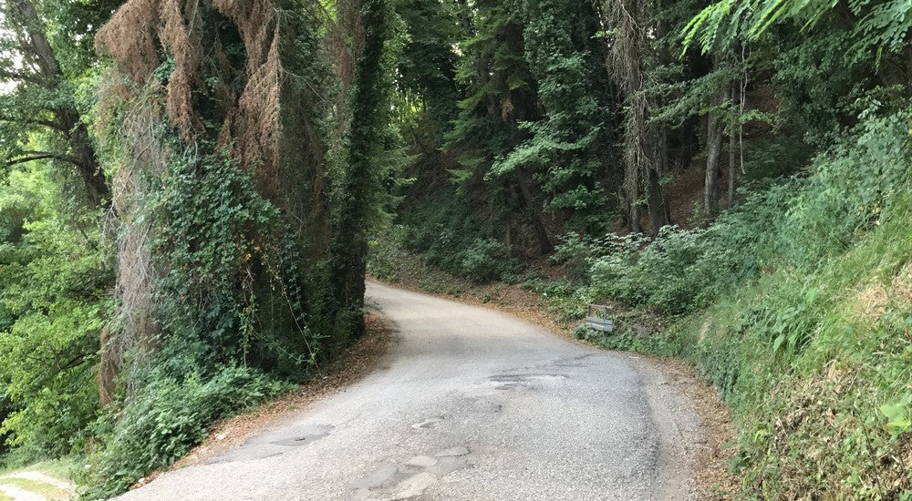 Itinerario Monte Subasio: sentiero La Tagliata