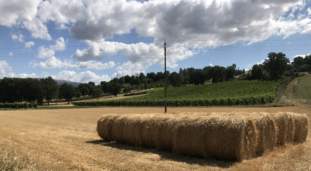 Itinerario i colori del Sagrantino: Bevagna e Montefalco