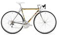 Bicicletta Bottecchia Corsa Leggendaria 40C Centaur 22S 2026