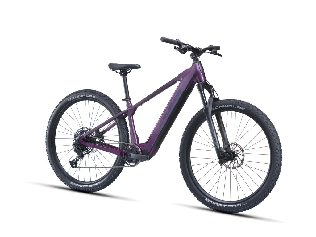 Bicicletta Crussis e-Fionna AX 9.12 2027