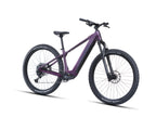Bicicletta Crussis e-Fionna AX 9.12 2027