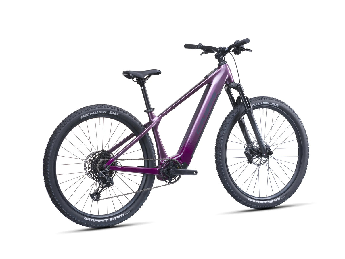 Bicicletta Crussis e-Fionna AX 9.12 2027
