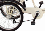 Triciclo Via Veneto 20" 2026