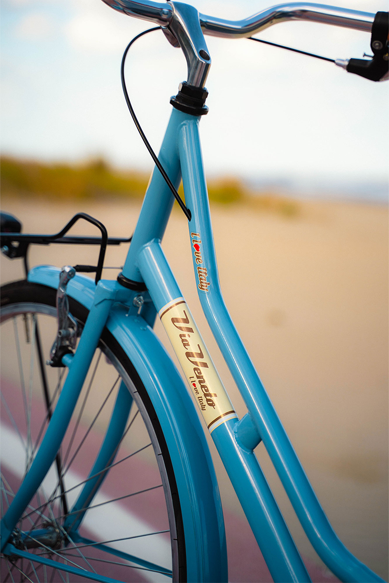 Bici da città