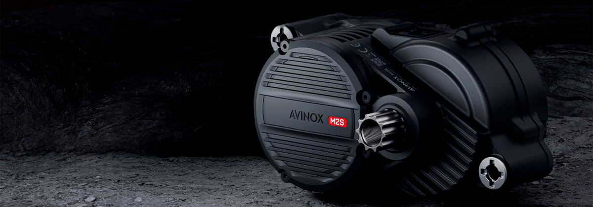 Avinox